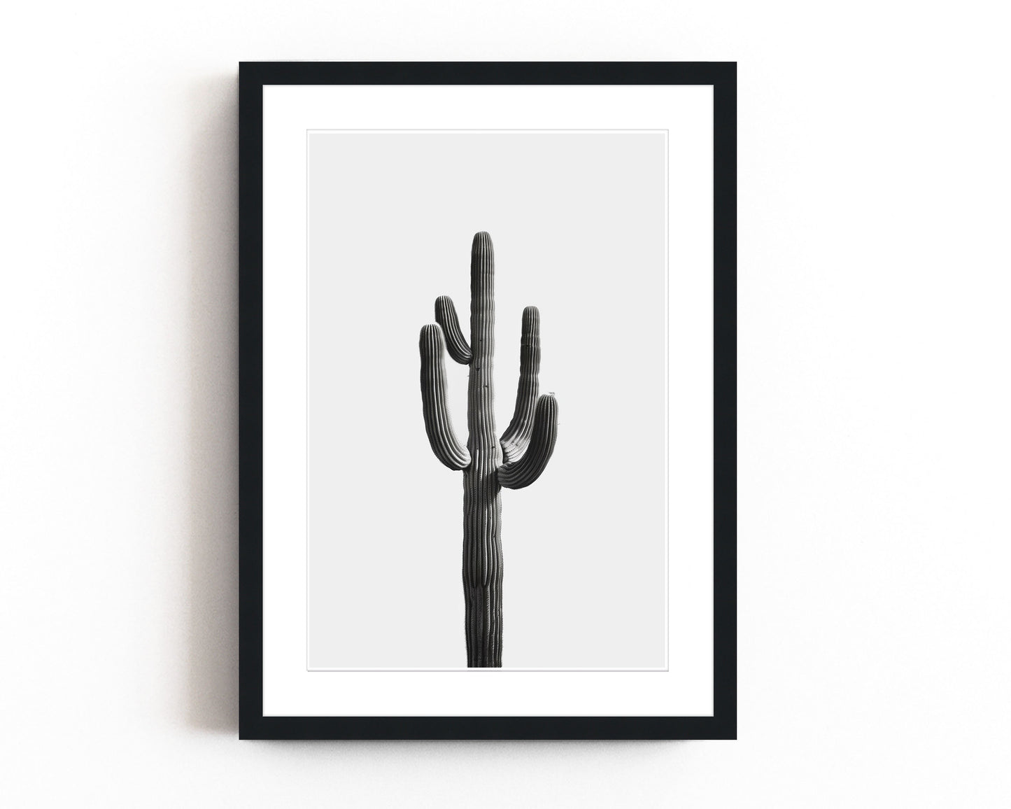 Black and white cactus art print featuring a minimalist design with a tall desert cactus on a plain white background. Perfect for southwestern-inspired decor and modern cactus wall art.