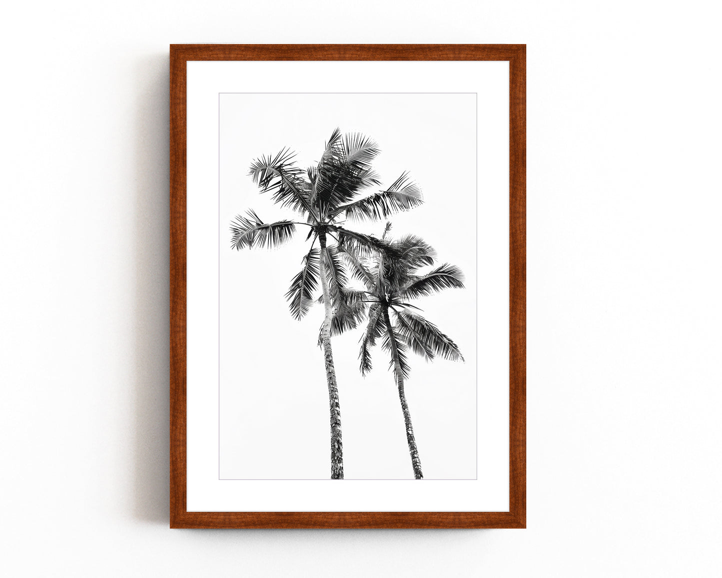 Monochrome black and white photograph of two palm trees set against a minimal sky, ideal for tropical-inspired modern home decor and nature wall art.