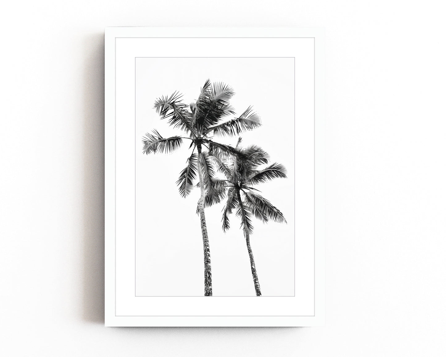 Monochrome black and white photograph of two palm trees set against a minimal sky, ideal for tropical-inspired modern home decor and nature wall art.