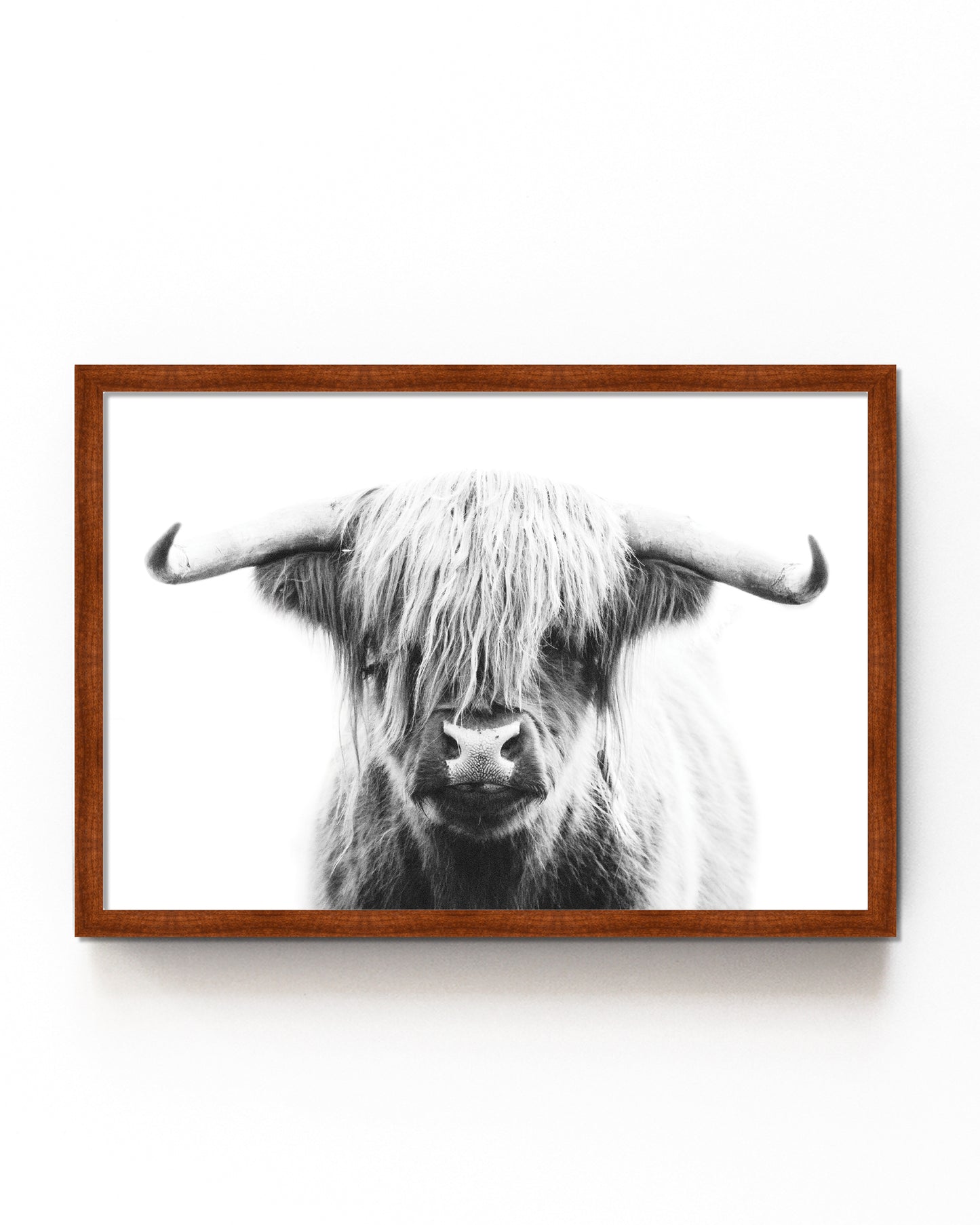 Black-and-white Highland cow portrait art print, perfect for rustic farmhouse or modern decor with minimalist charm.