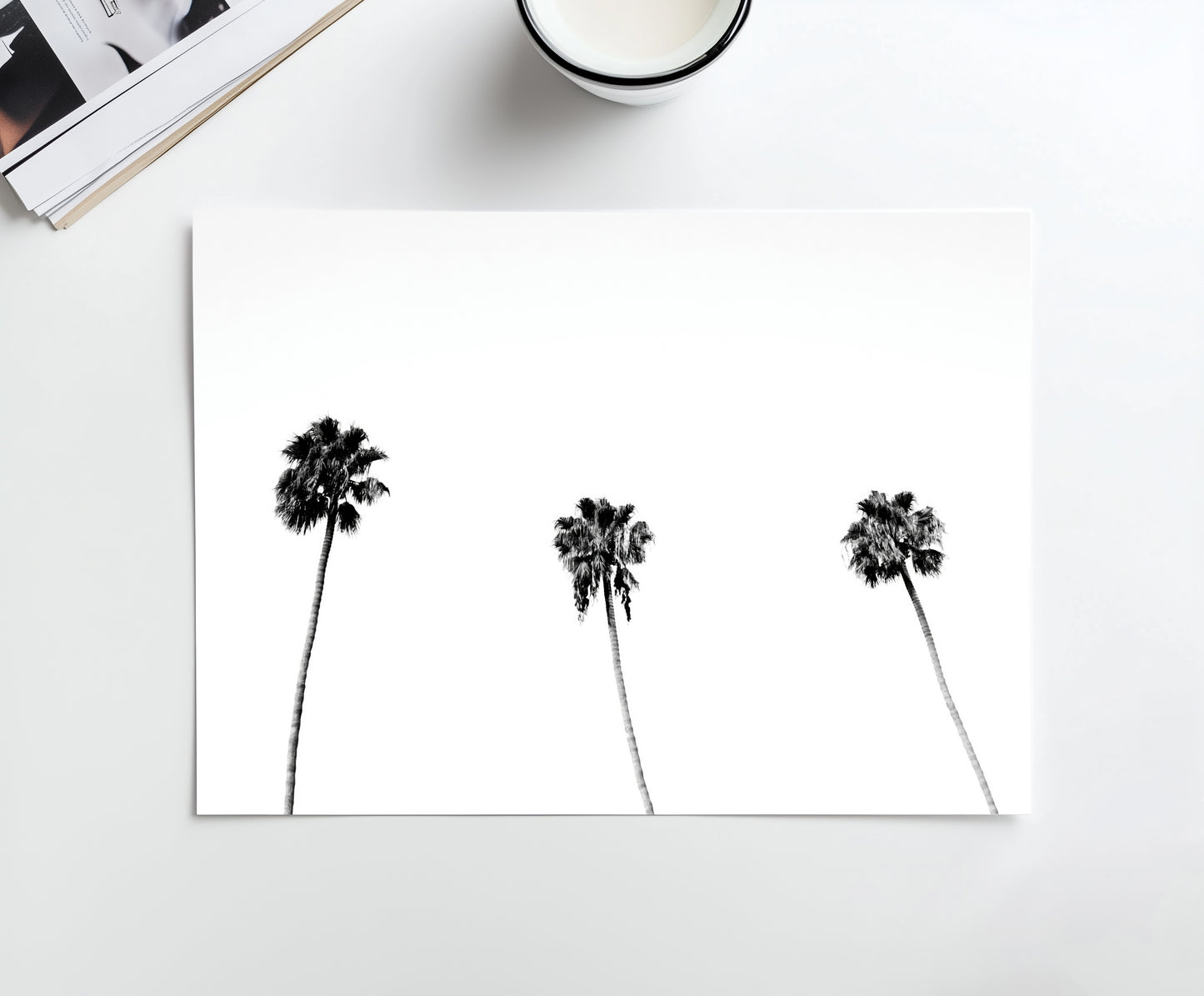 Palm Trio