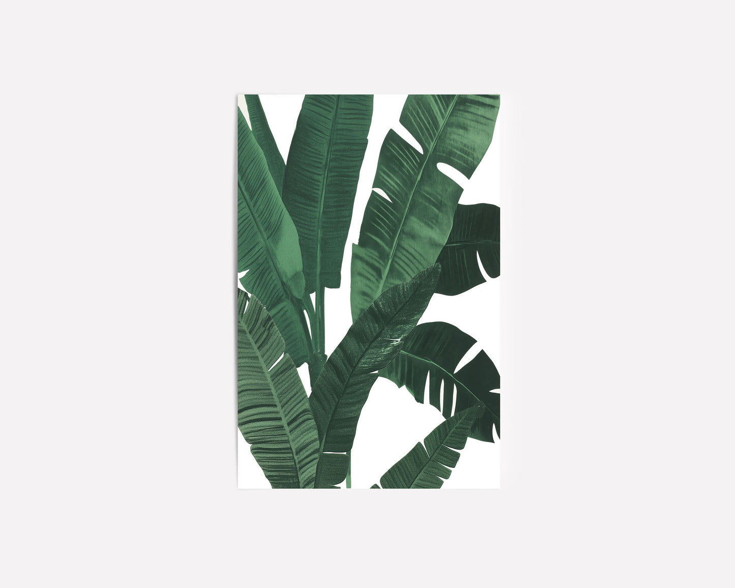Lush Tropical I