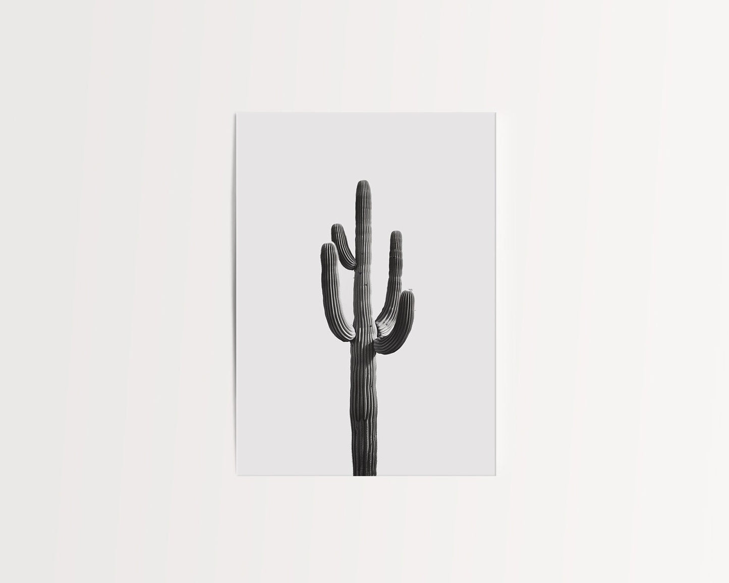 Black and white cactus art print featuring a minimalist design with a tall desert cactus on a plain white background. Perfect for southwestern-inspired decor and modern cactus wall art.