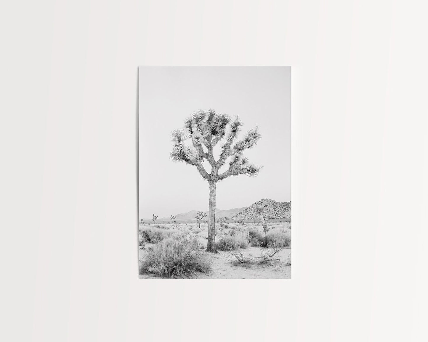 Black and white Joshua Tree art print featuring a desert landscape, perfect for contemporary and southwestern decor.