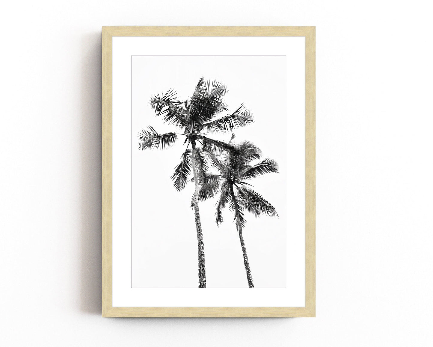 Monochrome black and white photograph of two palm trees set against a minimal sky, ideal for tropical-inspired modern home decor and nature wall art.