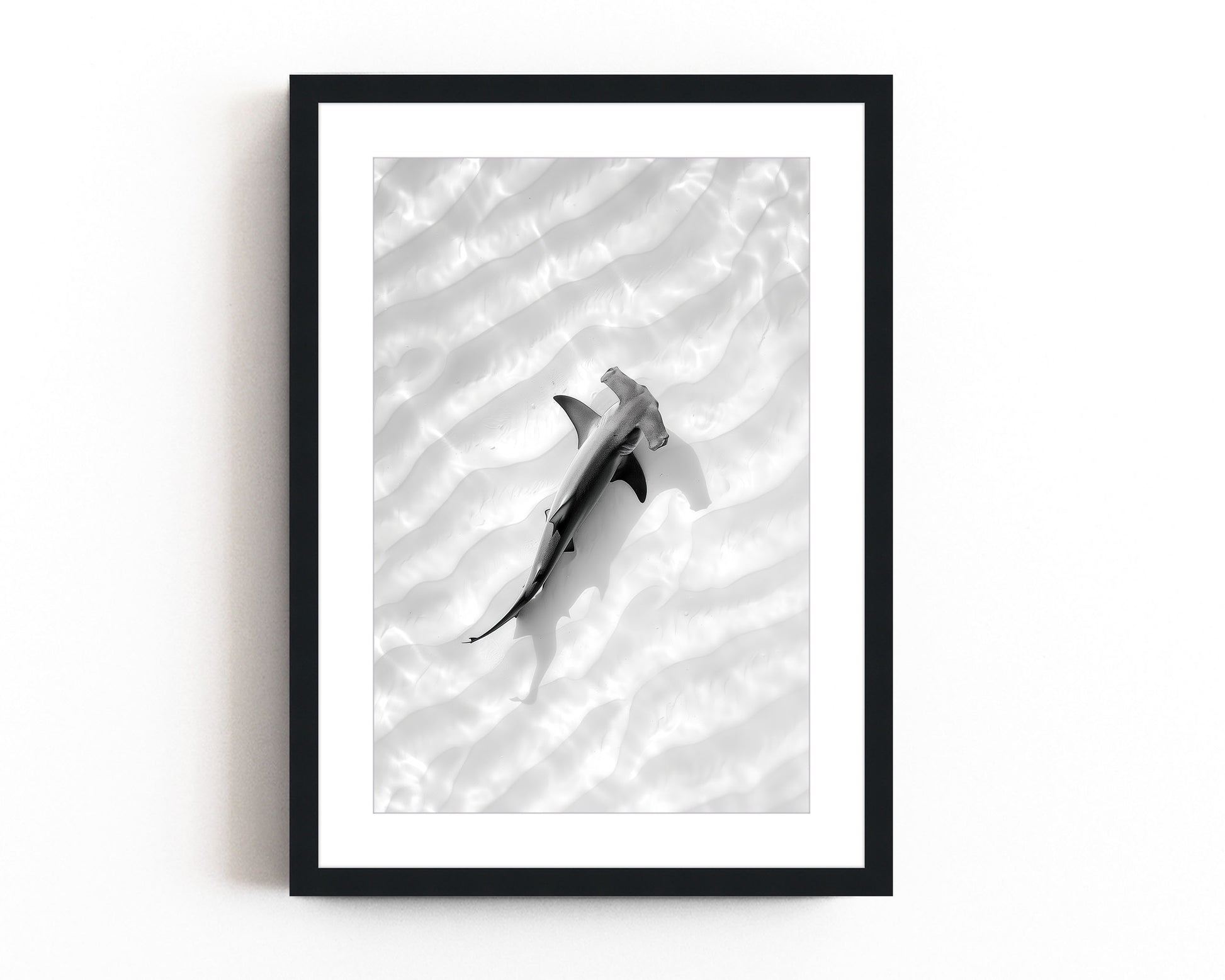 Black and white aerial photography of a hammerhead shark swimming over the ocean floor, with ripples of sand creating a serene, minimalist design.