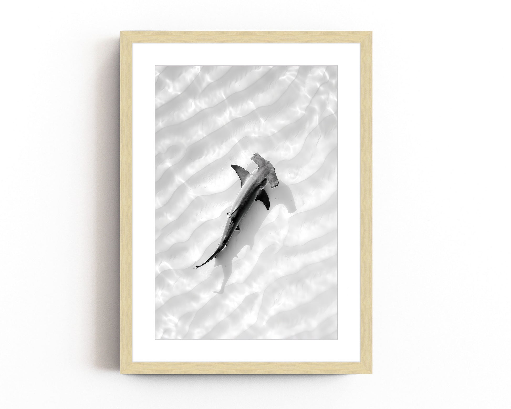 Black and white aerial photography of a hammerhead shark swimming over the ocean floor, with ripples of sand creating a serene, minimalist design.