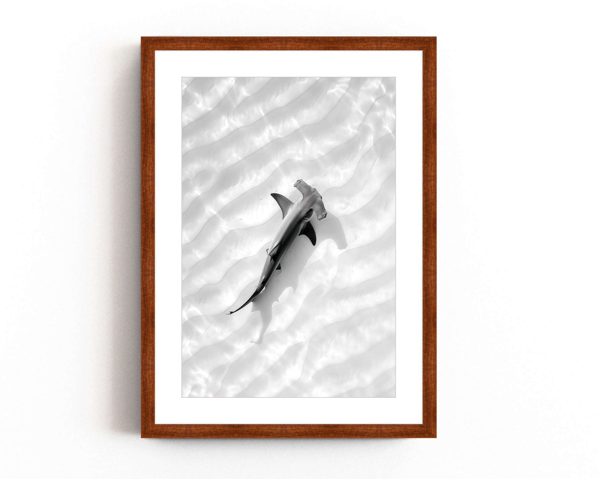 Black and white aerial photography of a hammerhead shark swimming over the ocean floor, with ripples of sand creating a serene, minimalist design.