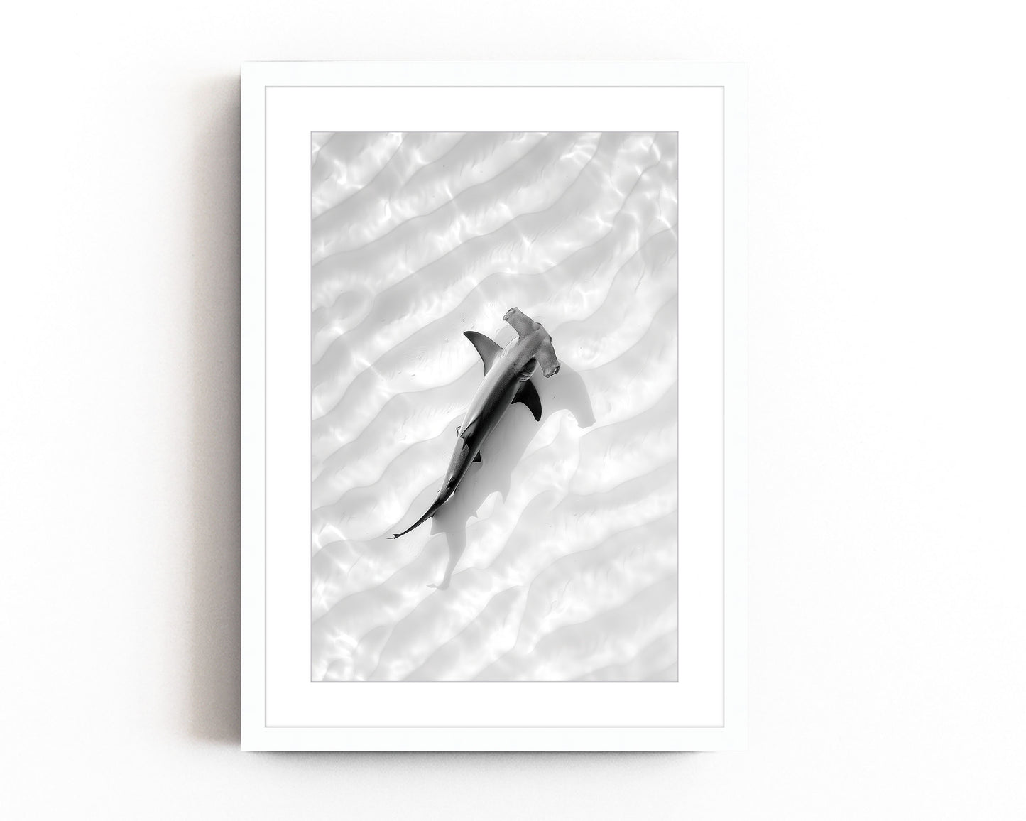 Black and white aerial photography of a hammerhead shark swimming over the ocean floor, with ripples of sand creating a serene, minimalist design.