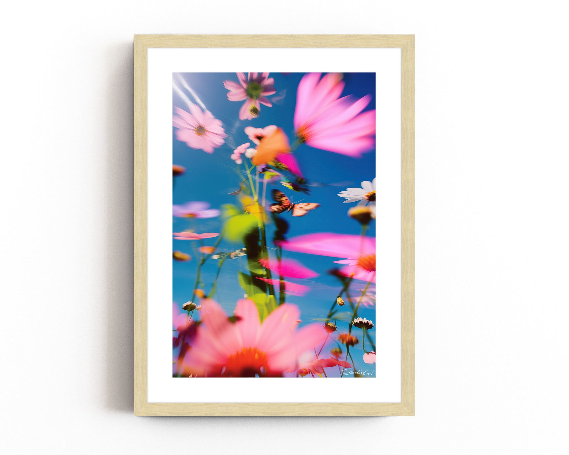 A vibrant and surreal floral print with blurred petals, capturing a dreamlike garden with prismatic colors in motion, titled Prismatica.