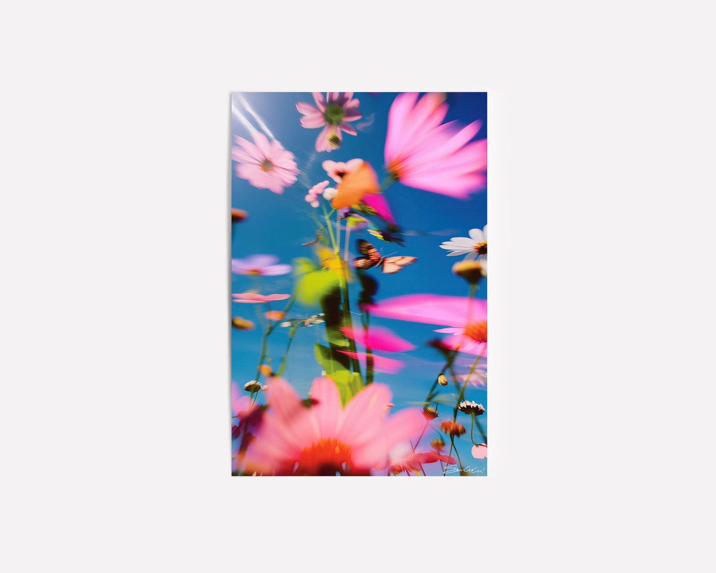 A vibrant and surreal floral print with blurred petals, capturing a dreamlike garden with prismatic colors in motion, titled Prismatica.