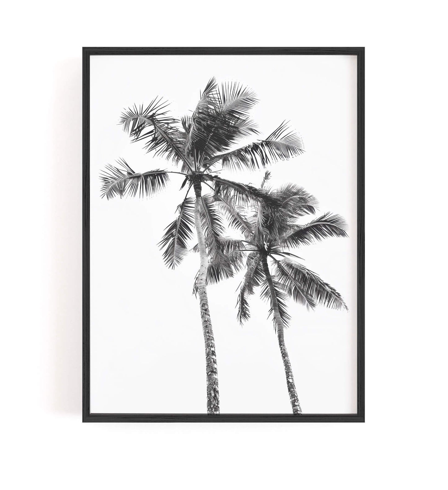 A framed black and white art print depicting two palm trees against a white background, enclosed in a thin black frame and mounted on a white wall.