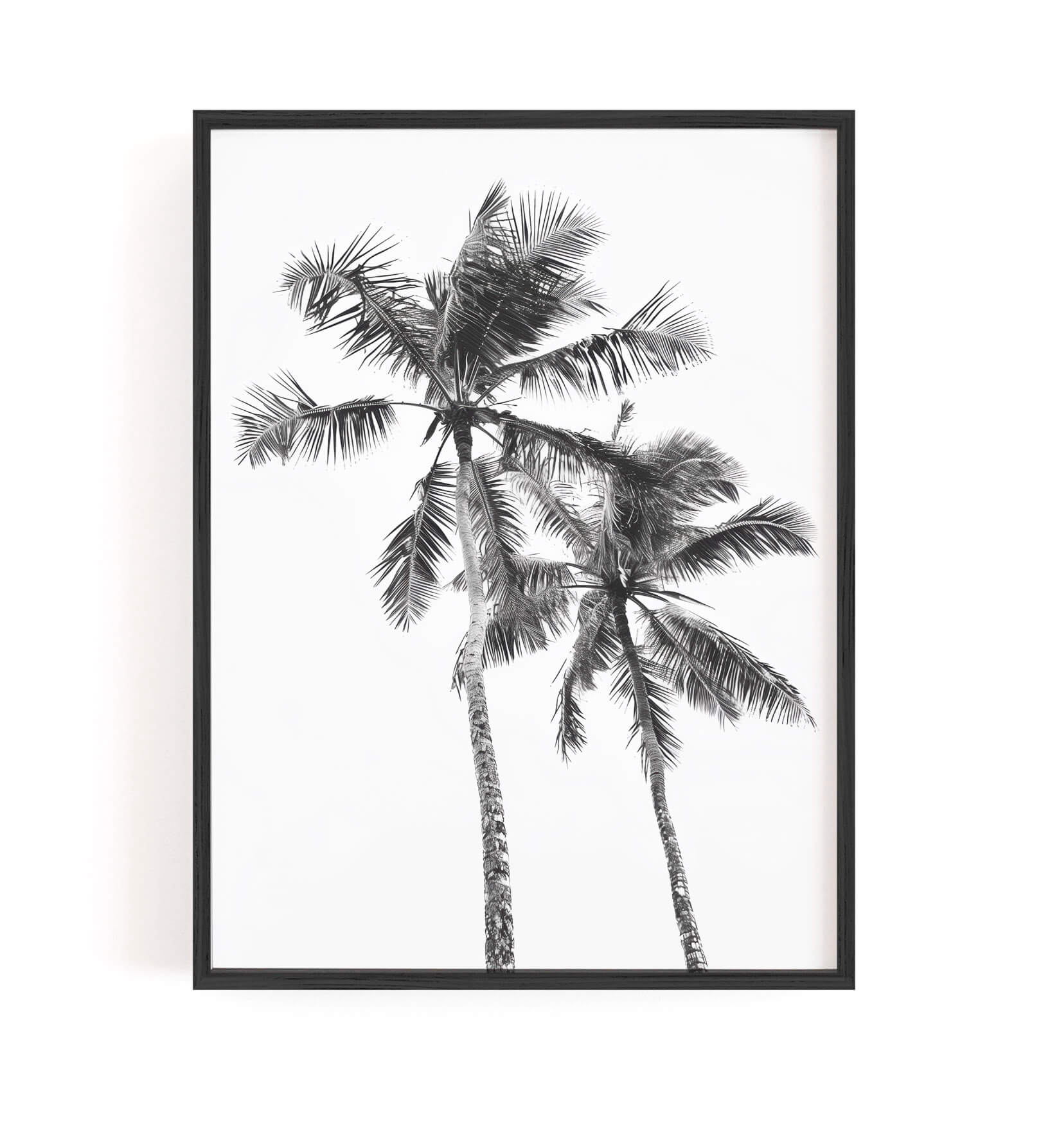 A framed black and white art print depicting two palm trees against a white background, enclosed in a thin black frame and mounted on a white wall.
