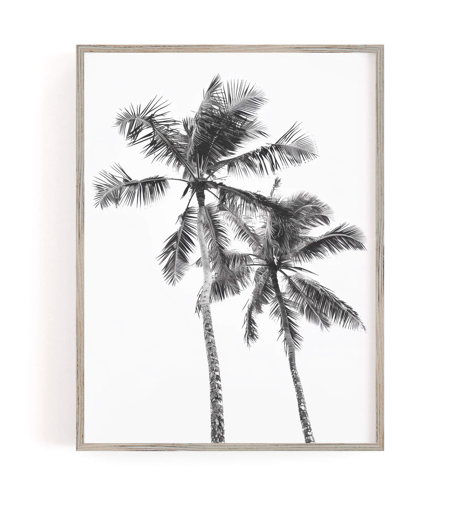 A framed black and white art print depicting two palm trees against a white background, enclosed in a light gray wooden frame and mounted on a white wall.