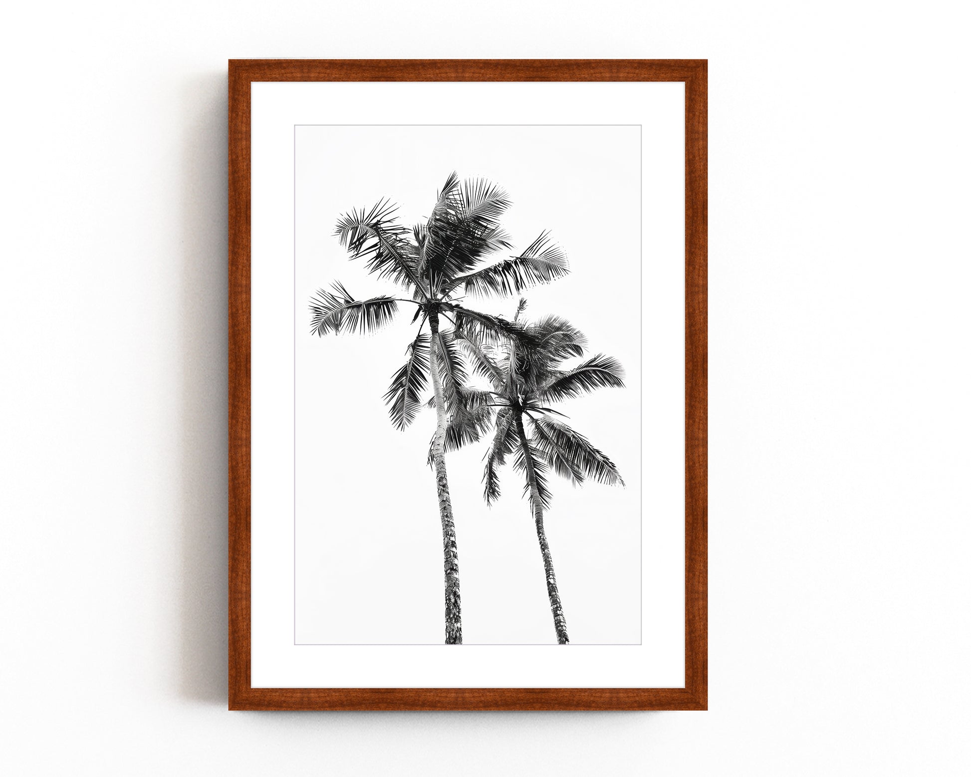  Monochrome black and white photograph of two palm trees set against a minimal sky, ideal for tropical-inspired modern home decor and nature wall art.