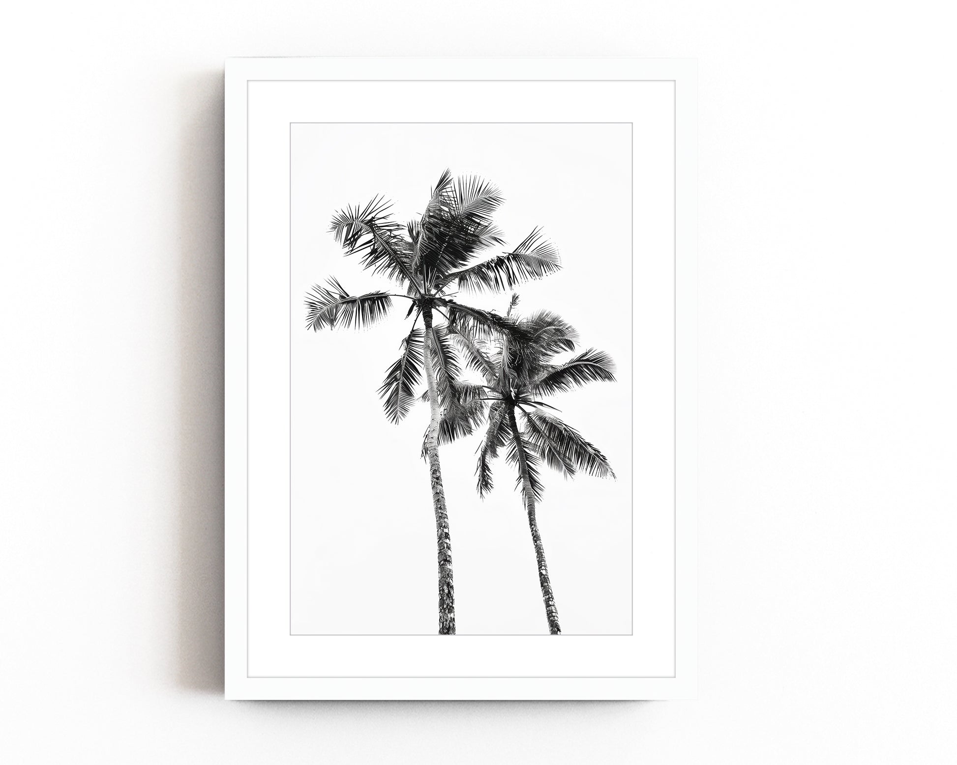  Monochrome black and white photograph of two palm trees set against a minimal sky, ideal for tropical-inspired modern home decor and nature wall art.