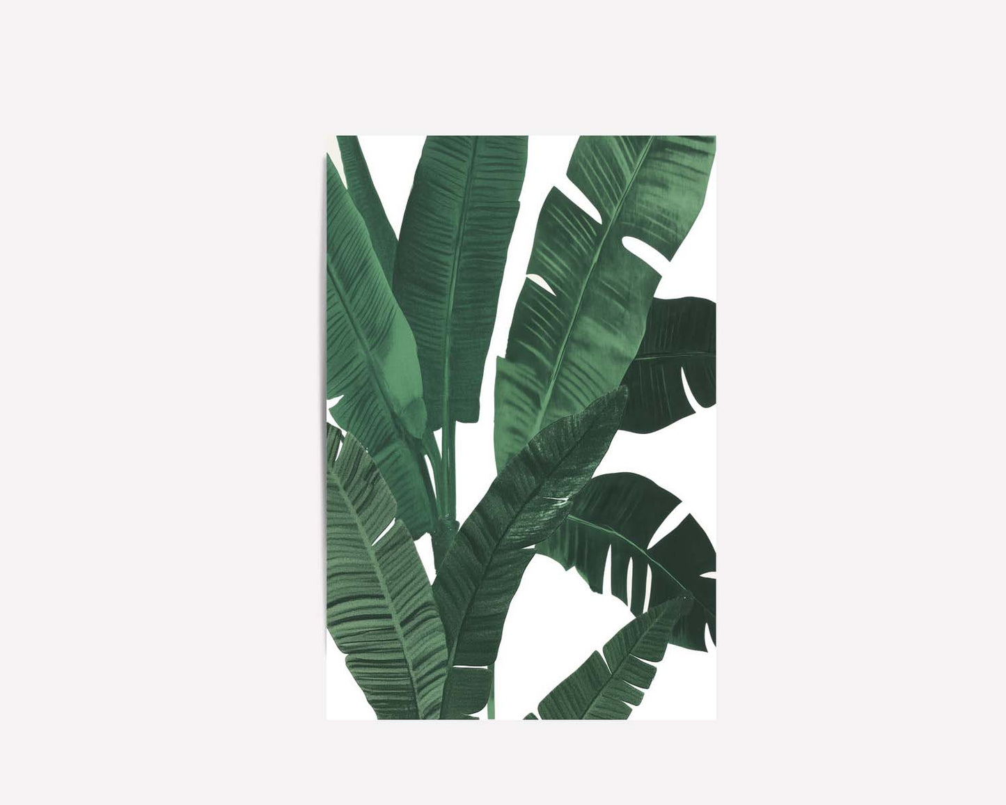 Lush Tropical I