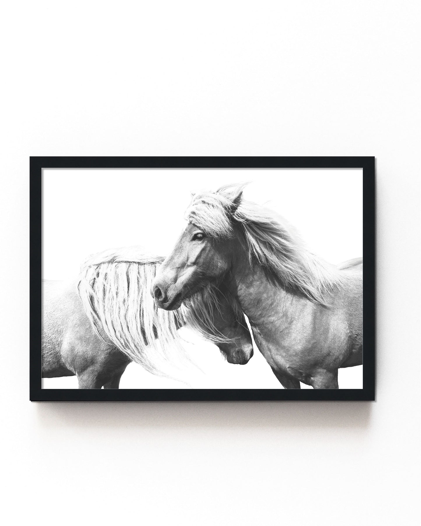 Black-and-white art print of two still wild horses with flowing manes, perfect for rustic farmhouse or equestrian-inspired decor.