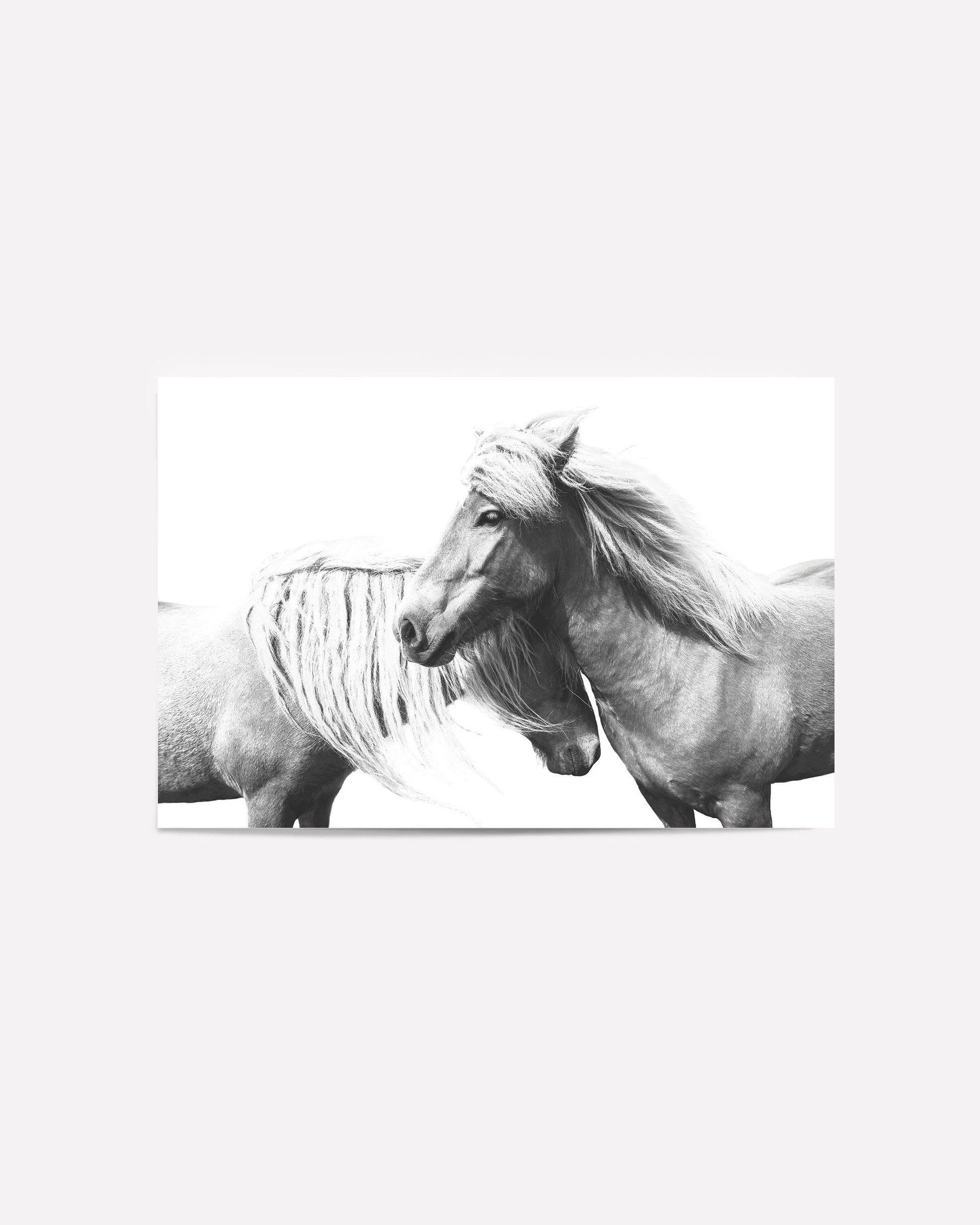 Black-and-white art print of two still wild horses with flowing manes, perfect for rustic farmhouse or equestrian-inspired decor.