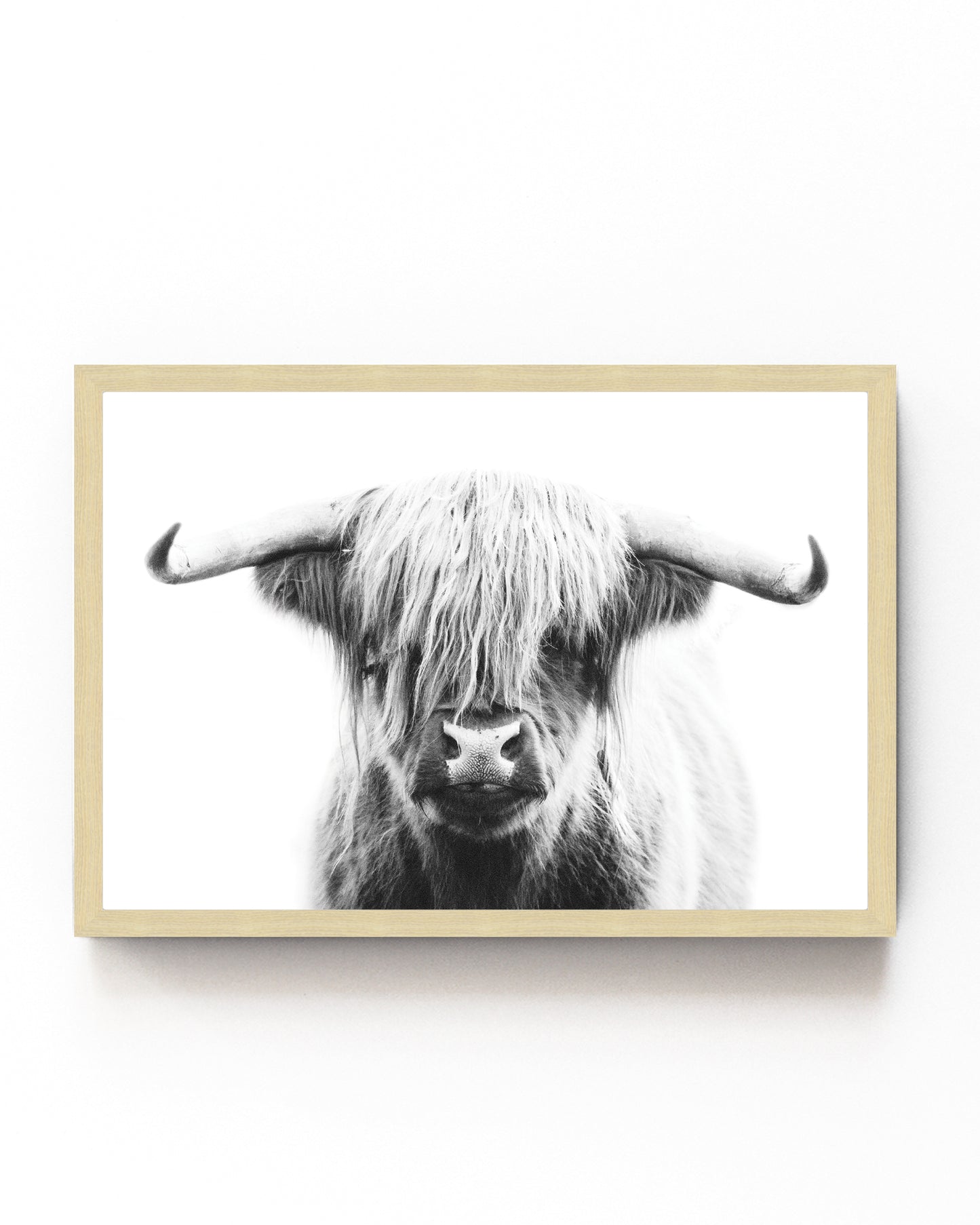 Black-and-white Highland cow portrait art print, perfect for rustic farmhouse or modern decor with minimalist charm.