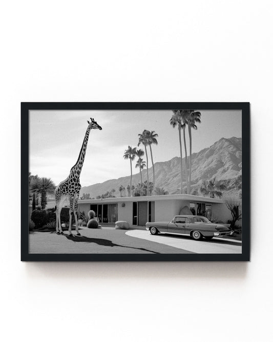 A black-and-white vintage-inspired photograph featuring a giraffe standing next to a classic Palm Springs mid-century home with a retro car and desert backdrop, part of the Palm Springs Menagerie series.