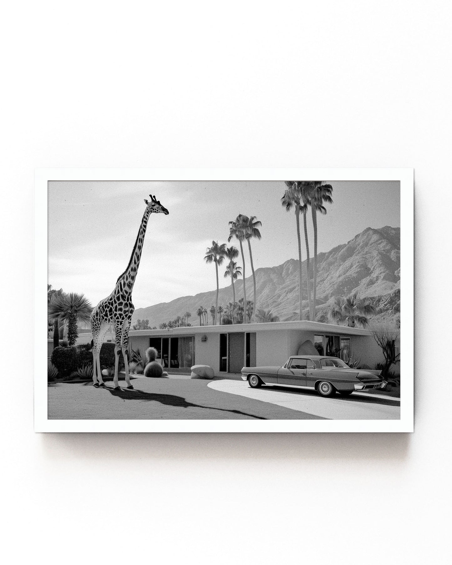 A black-and-white vintage-inspired photograph featuring a giraffe standing next to a classic Palm Springs mid-century home with a retro car and desert backdrop, part of the Palm Springs Menagerie series.