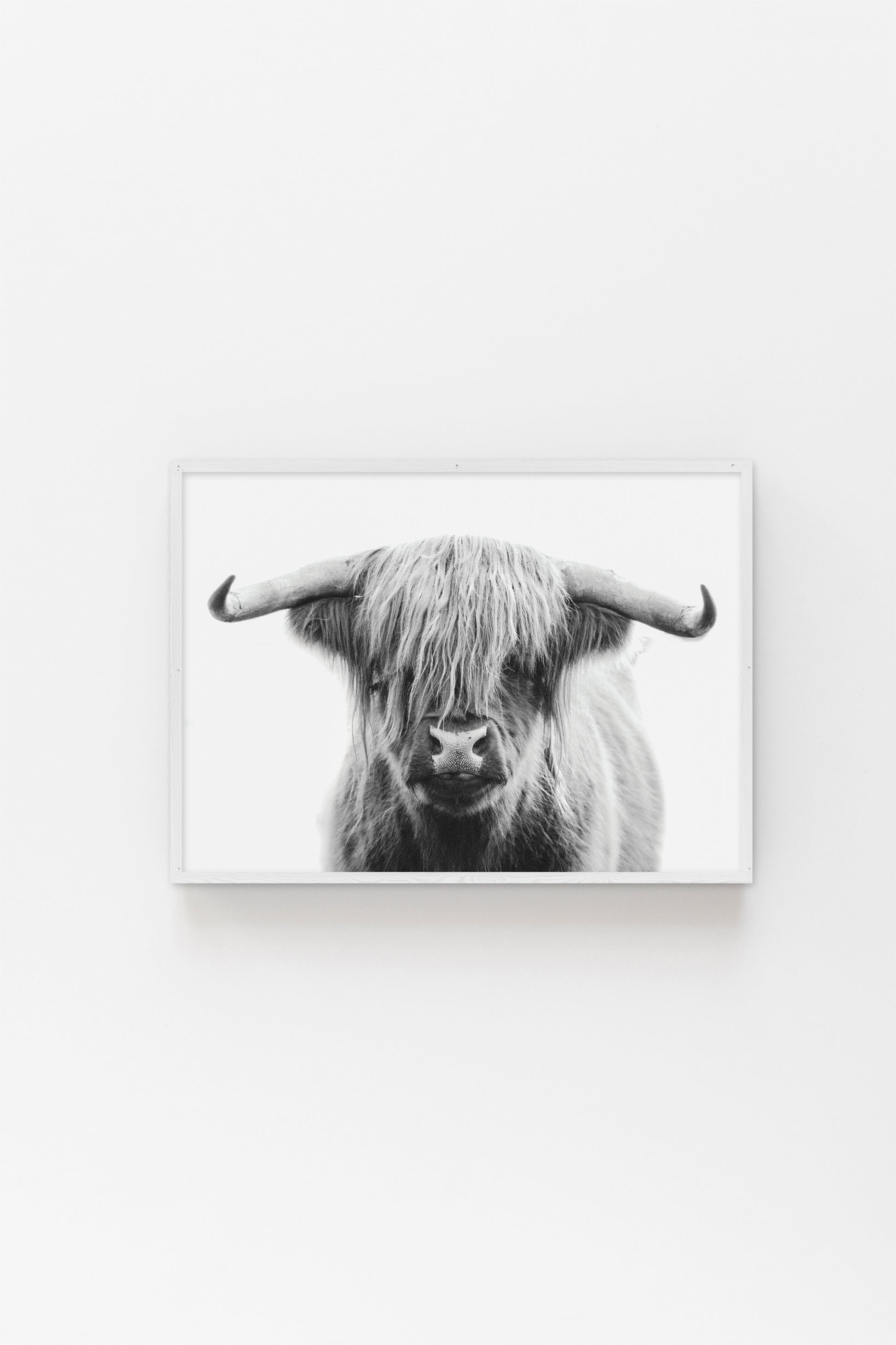 Black-and-white Highland cow portrait art print, perfect for rustic farmhouse or modern decor with minimalist charm.