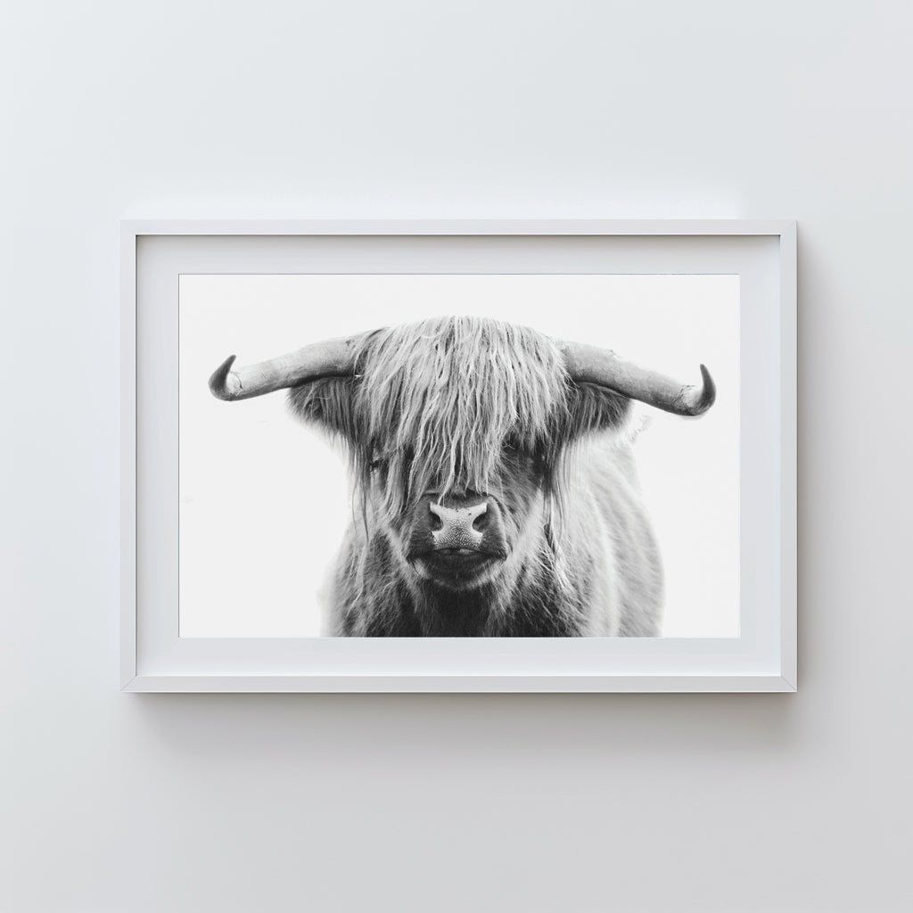 Black-and-white Highland cow portrait art print, perfect for rustic farmhouse or modern decor with minimalist charm.