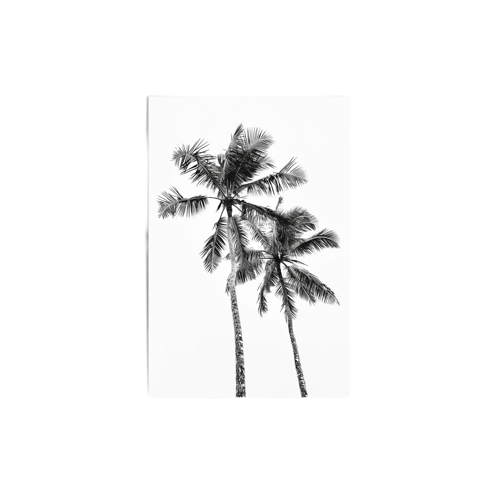 Black and white photograph of two palm trees standing tall, perfect for adding a minimalist and tropical touch to your home decor.