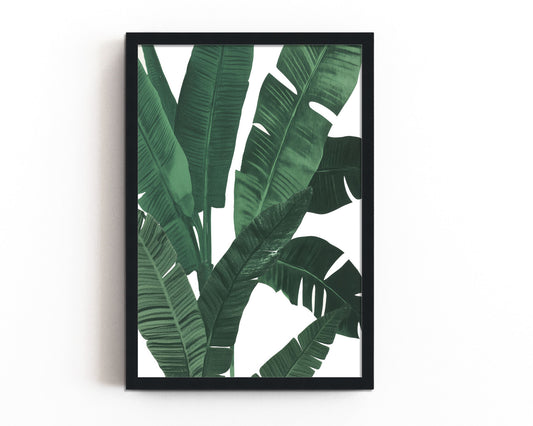 Lush Tropical I