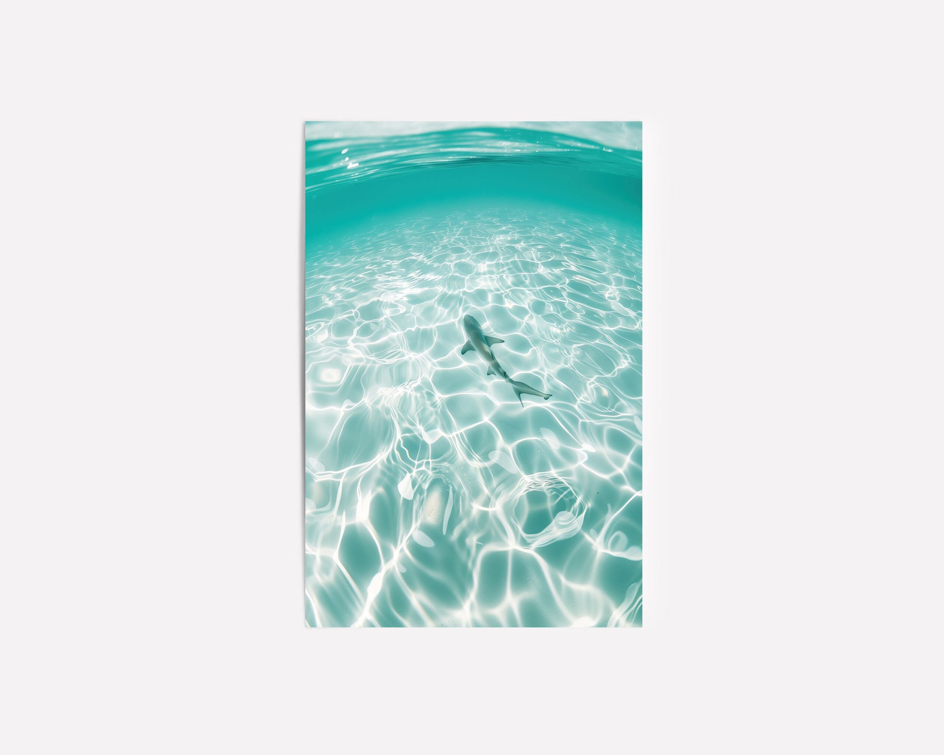 Underwater ocean photography print of a shark swimming through clear tropical waters with sunlight reflections, capturing marine life tranquility.