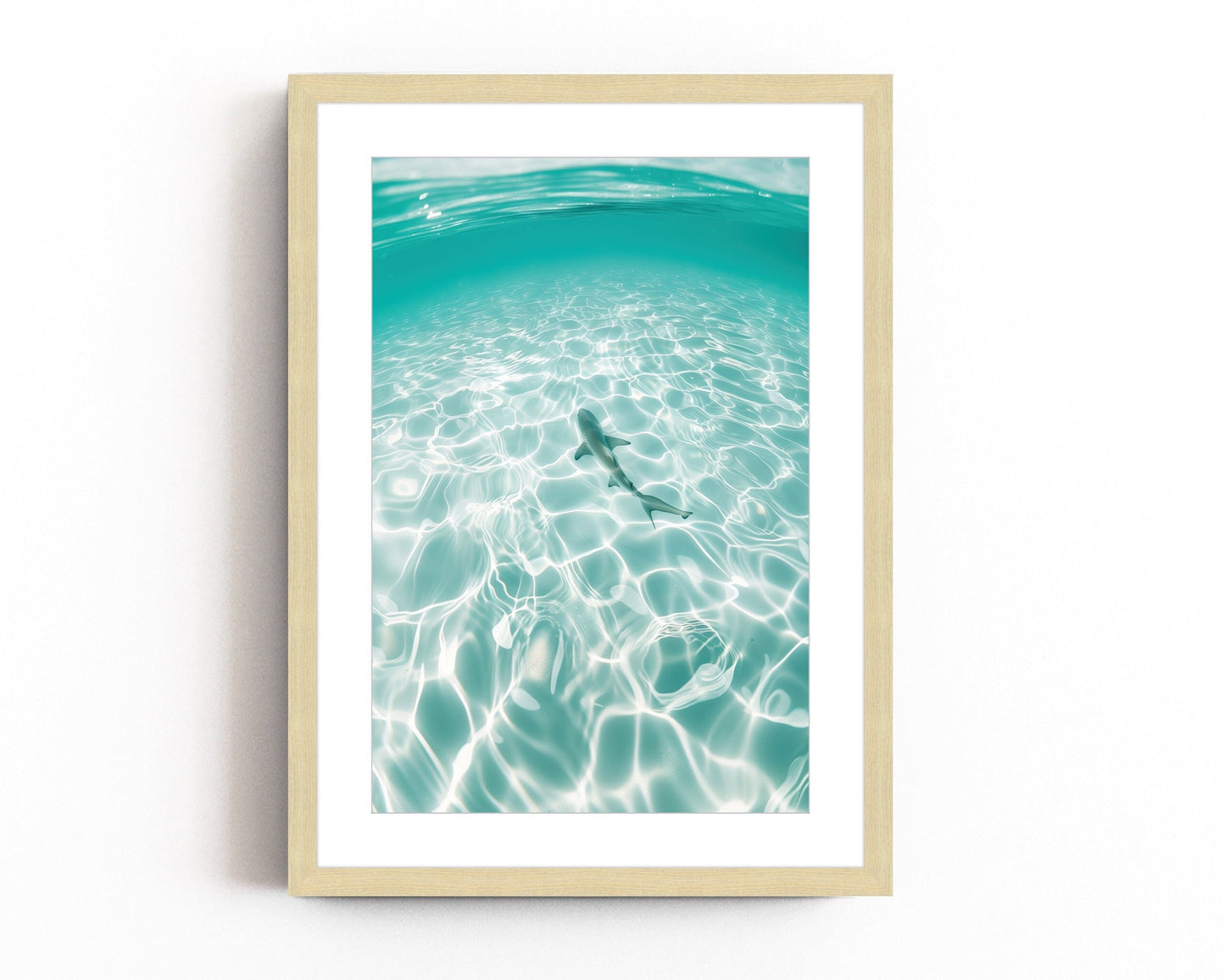 Underwater ocean photography print of a shark swimming through clear tropical waters with sunlight reflections, capturing marine life tranquility.