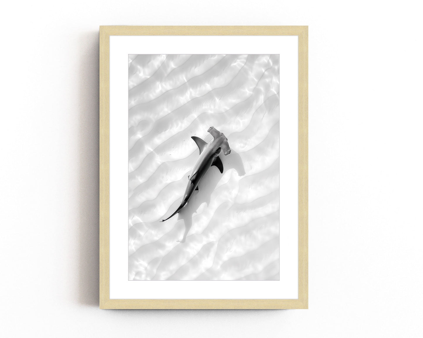 Black and white aerial photography of a hammerhead shark swimming over the ocean floor, with ripples of sand creating a serene, minimalist design.