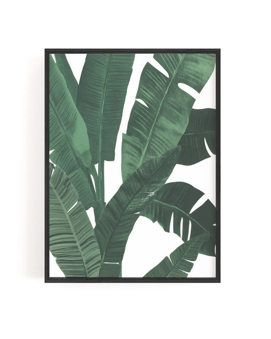 Lush Tropical I