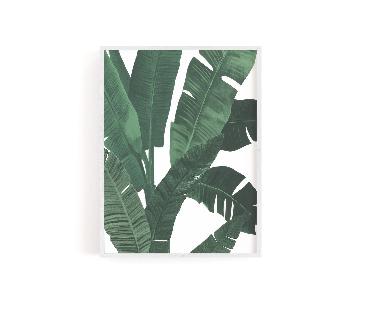 Lush Tropical I