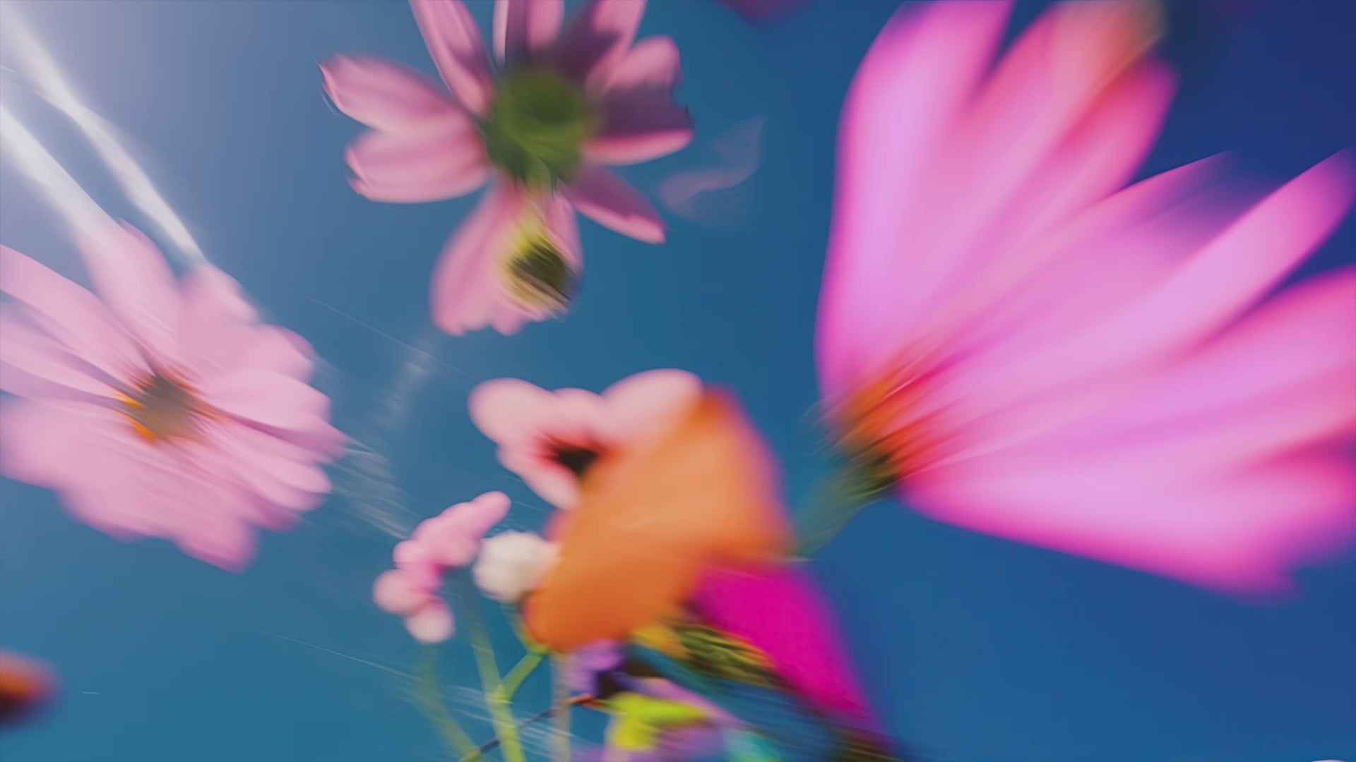 A vibrant and surreal floral print with blurred petals, capturing a dreamlike garden with prismatic colors in motion, titled Prismatica.