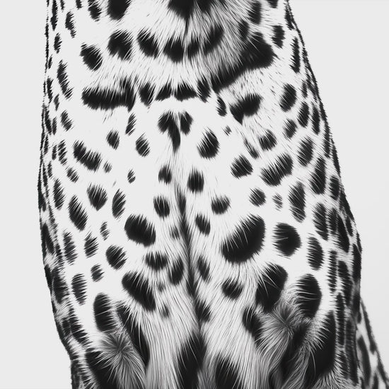 A striking black-and-white art print of a roaring leopard, perfect for modern and minimalist interiors.