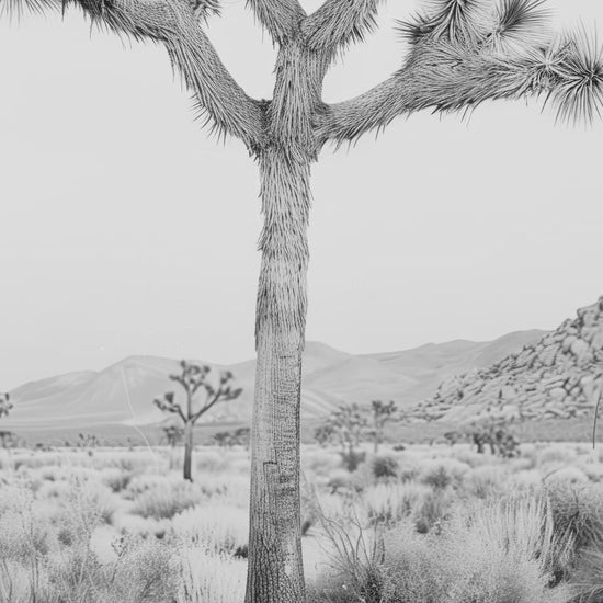 Black and white Joshua Tree art print featuring a desert landscape, perfect for contemporary and southwestern decor.
