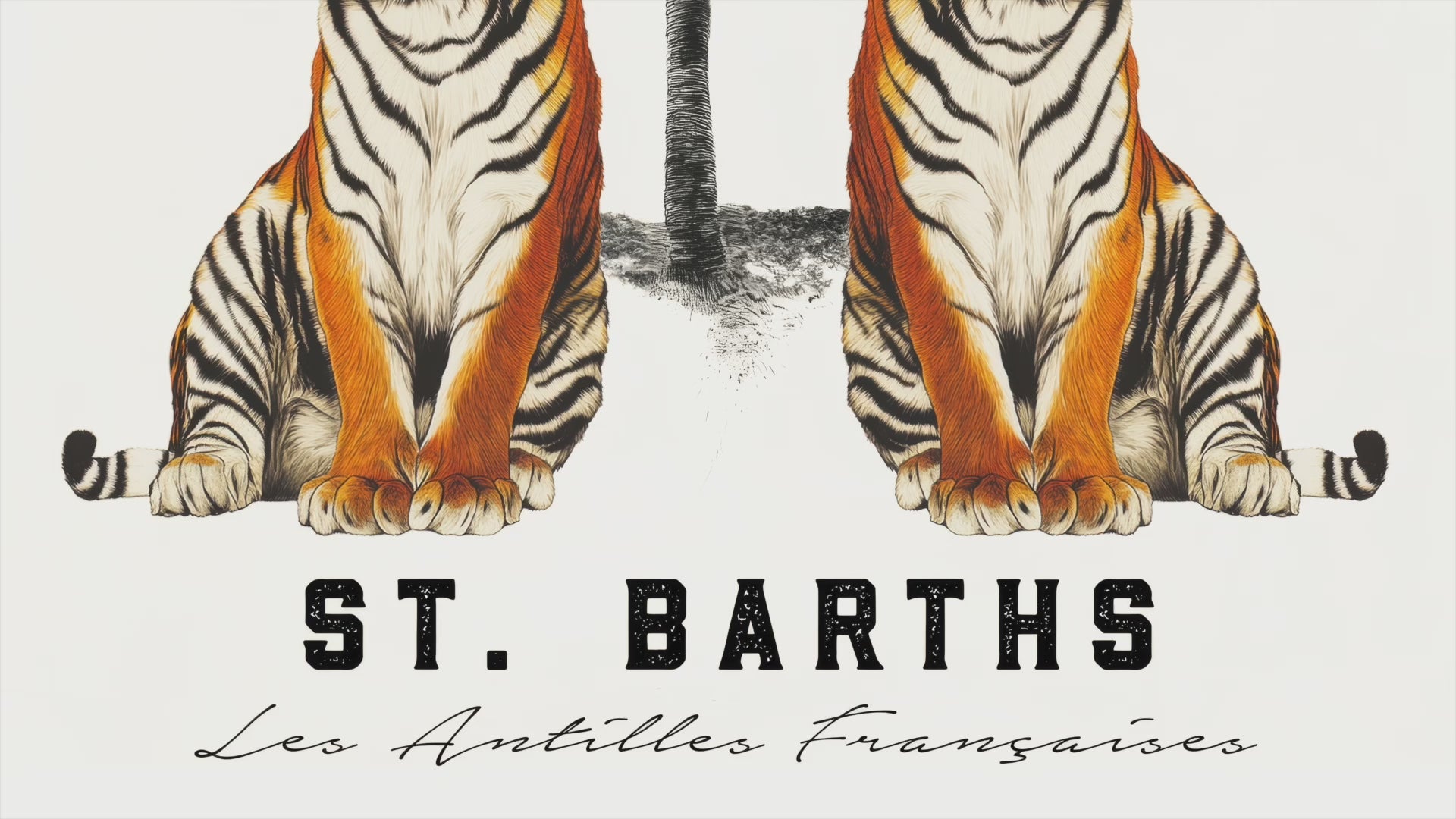 A vintage-style art print of two tigers under a palm tree with “St. Barths” and “Les Antilles Françaises” typography, ideal for tropical or travel-inspired decor.