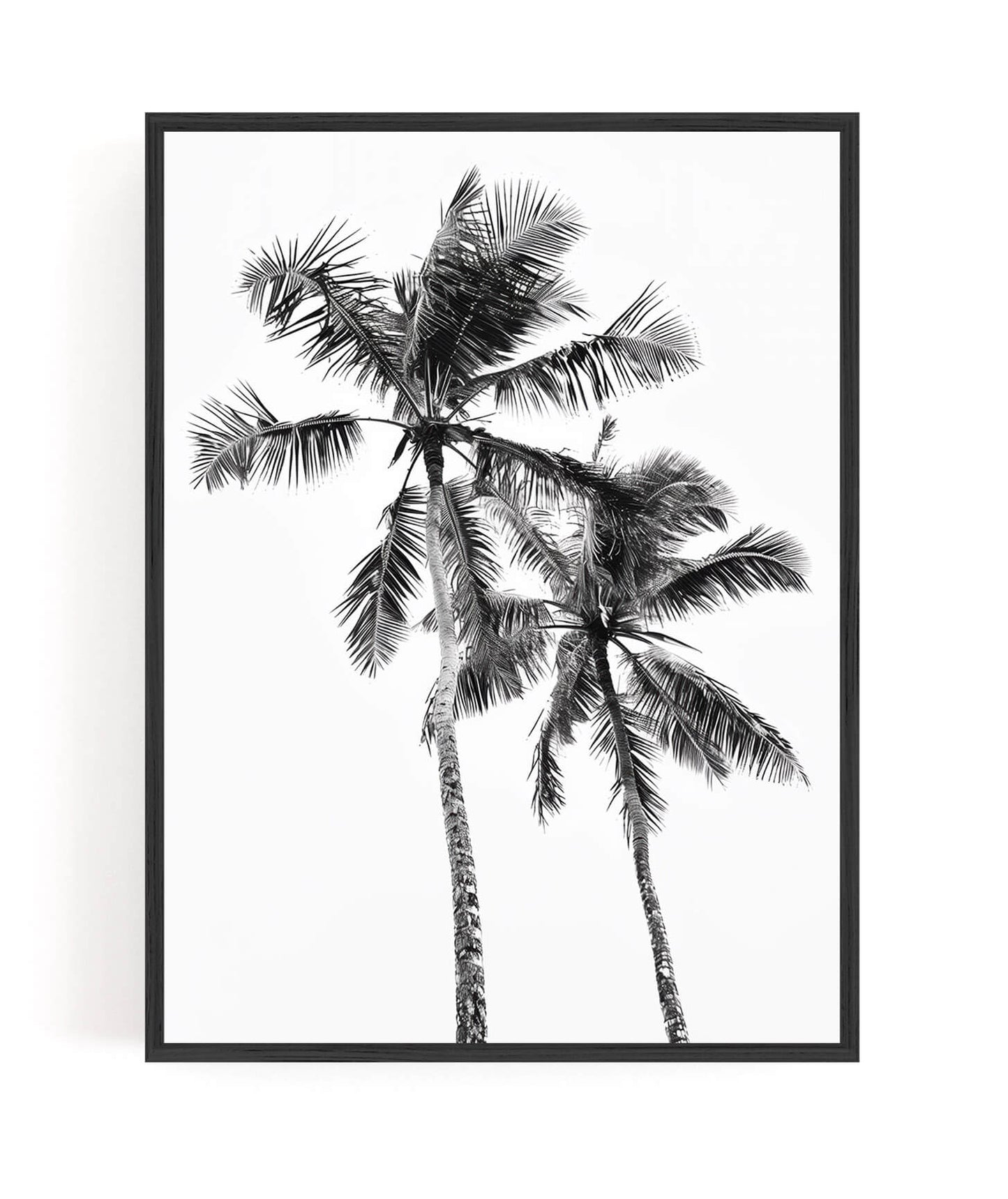 A framed black and white art print featuring two palm trees against a white background, enclosed in a thin black frame and shown hanging on a white wall.