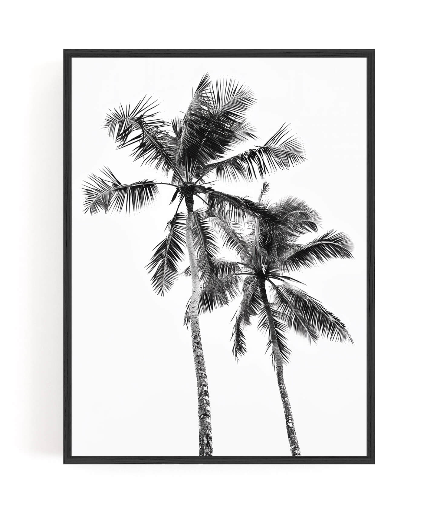A framed black and white art print featuring two palm trees against a white background, enclosed in a thin black frame and shown hanging on a white wall.