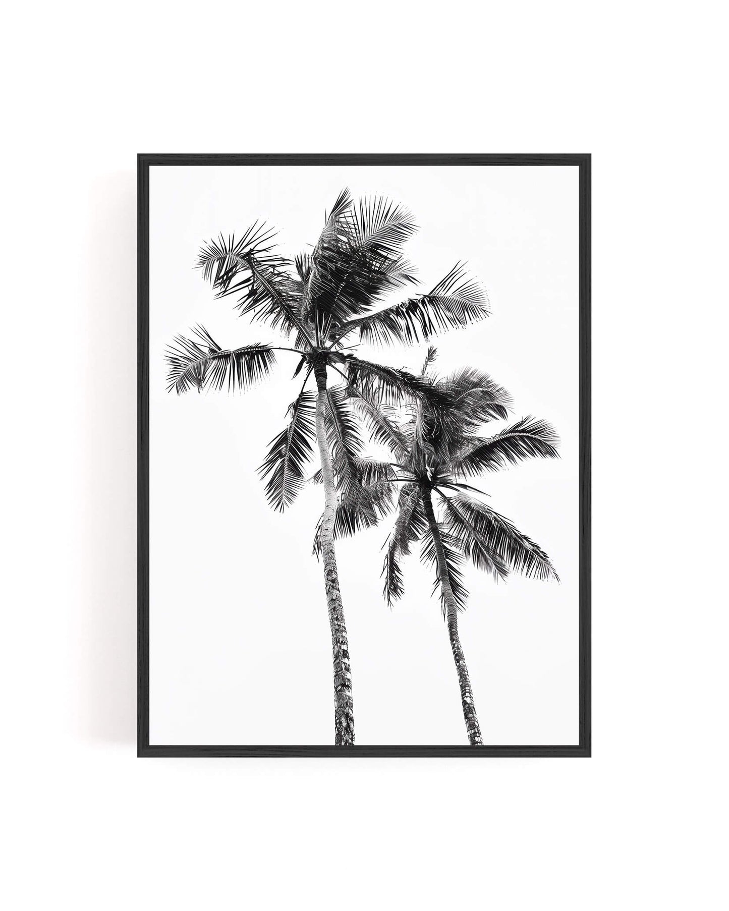 A framed black and white botanical art print depicting two palm trees, shown in a thin black frame against a clean white background.