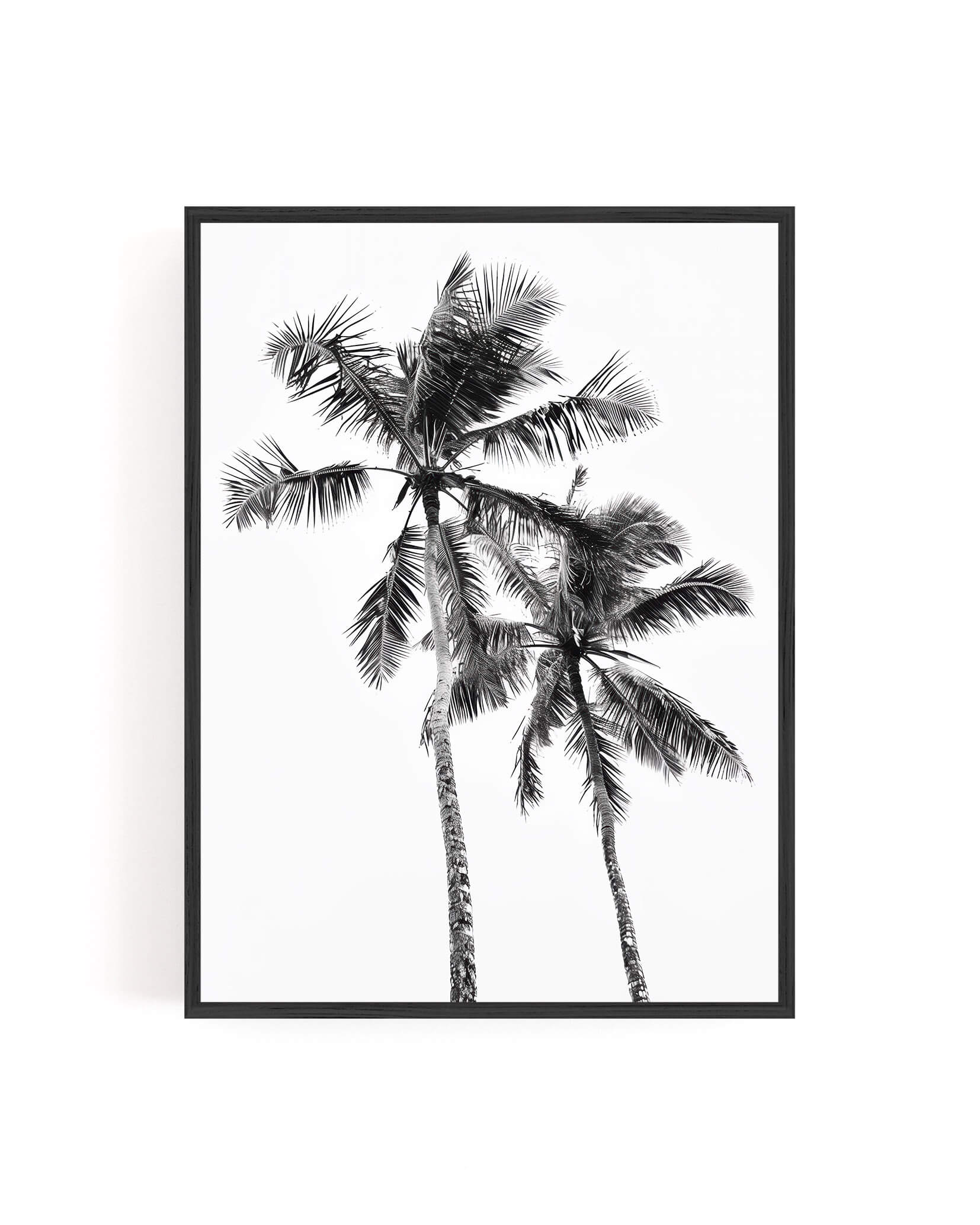 A framed black and white botanical art print depicting two palm trees, shown in a thin black frame against a clean white background.