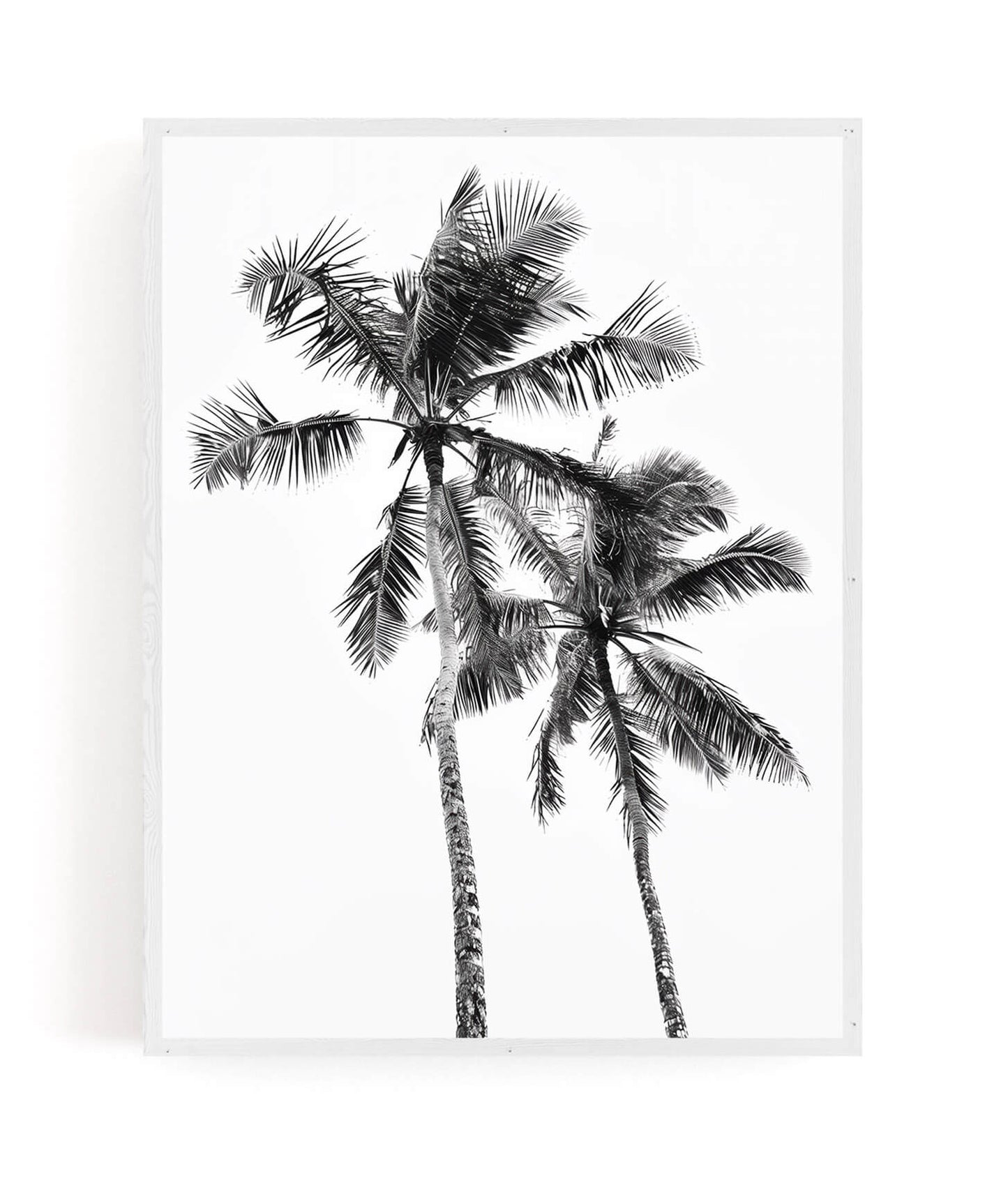 A framed black and white art print featuring two tall palm trees against a white background, shown hanging on a white wall.