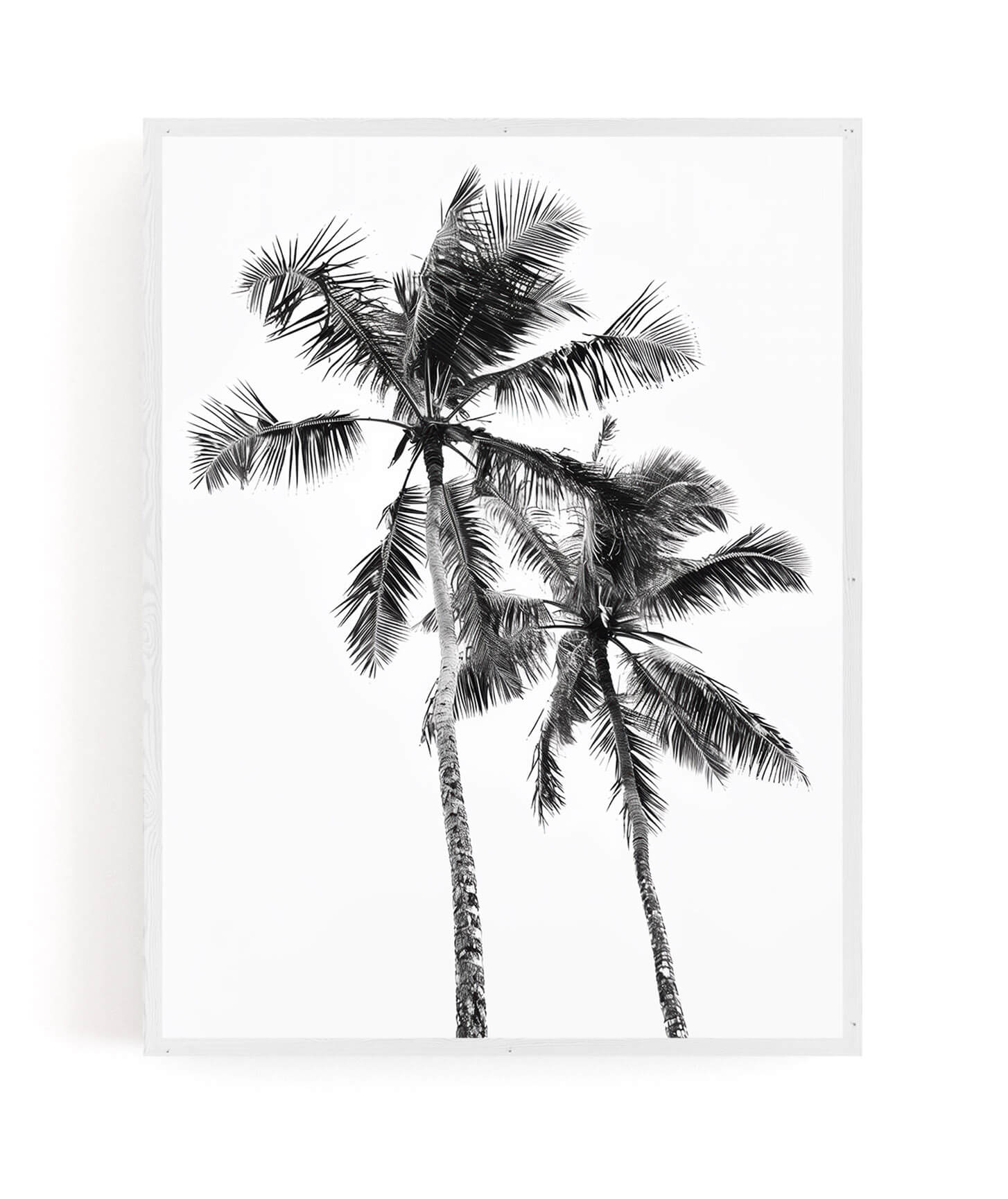 A framed black and white art print featuring two tall palm trees against a white background, shown hanging on a white wall.