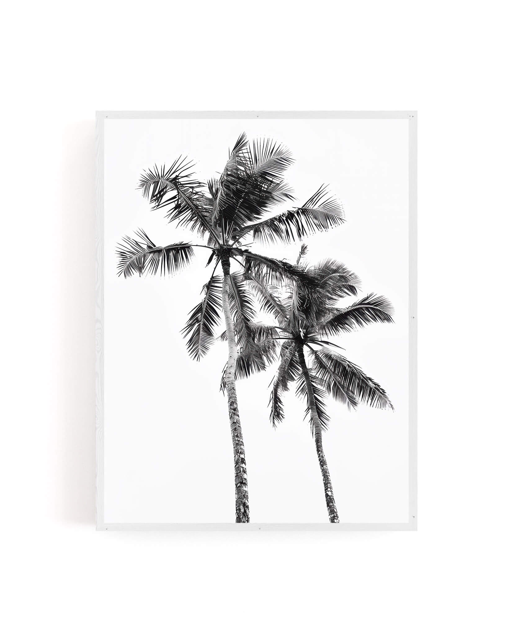 A framed black and white art print featuring two palm trees against a white background, shown hanging on a light gray wall.